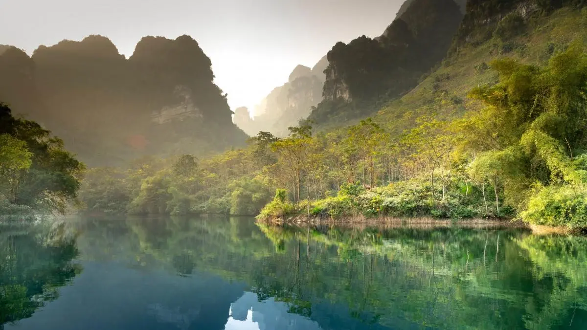节能绿色高端